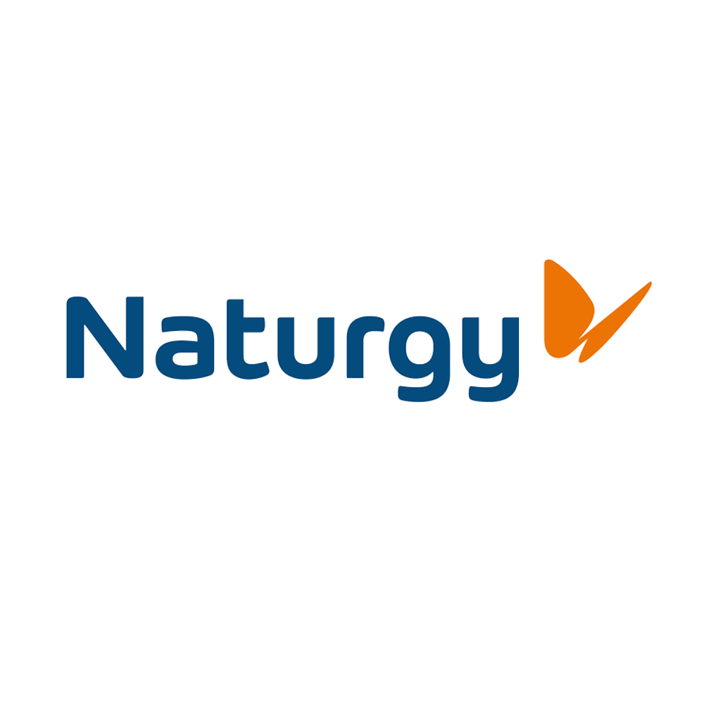 Naturgy